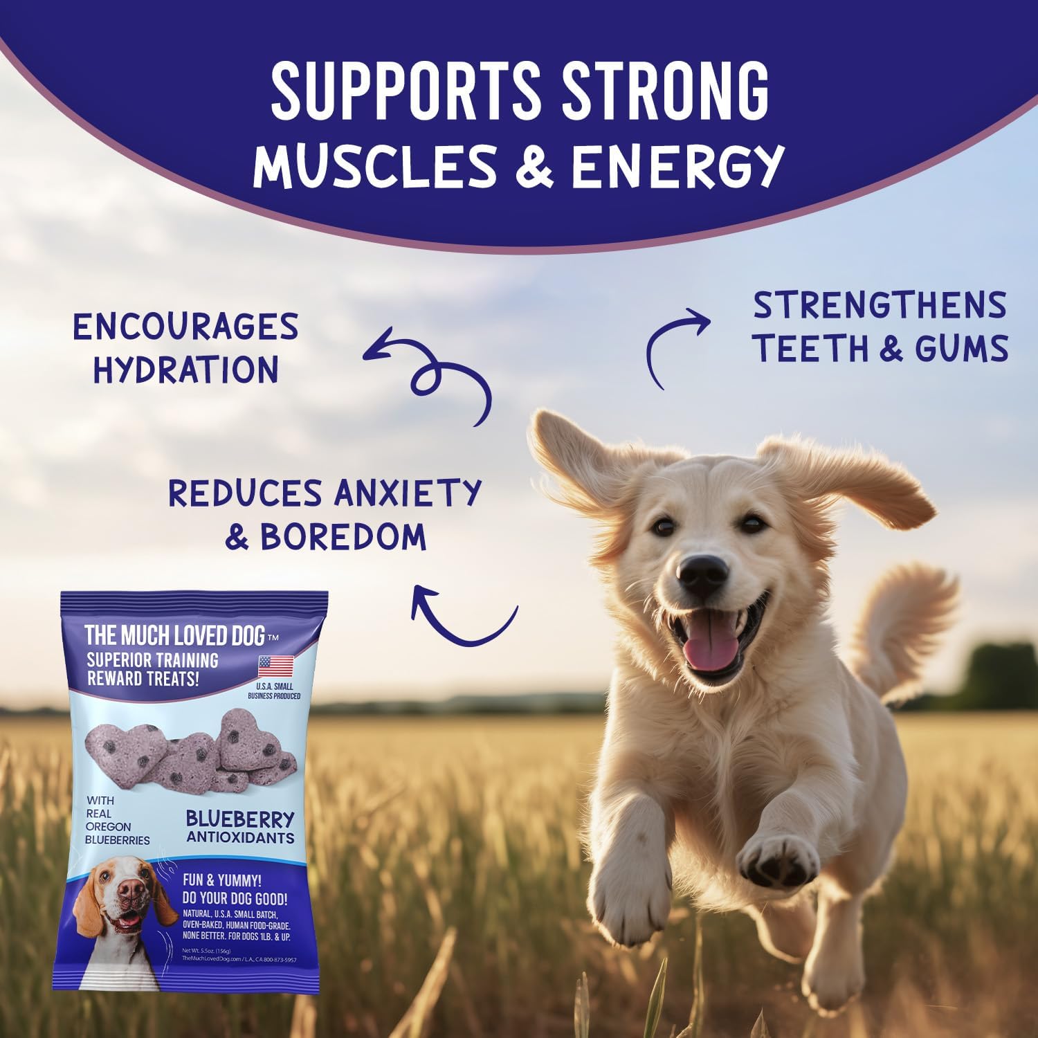 Much Loved Dog Training Treats - Blueberry Antioxidant