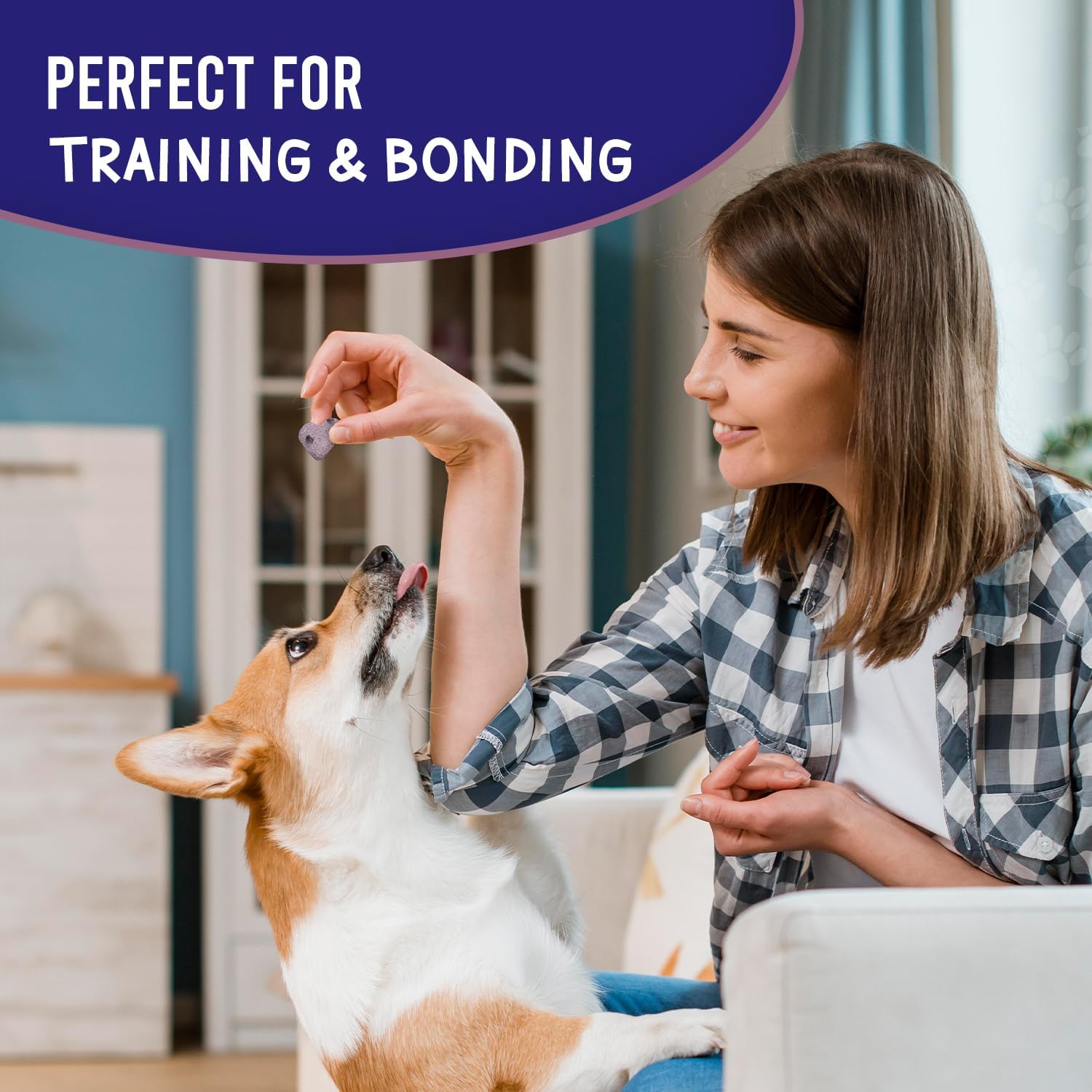 Much Loved Dog Training Treats - Blueberry Antioxidant