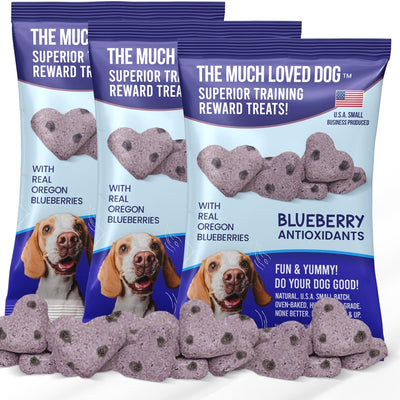 Blueberry Antioxidant Treats