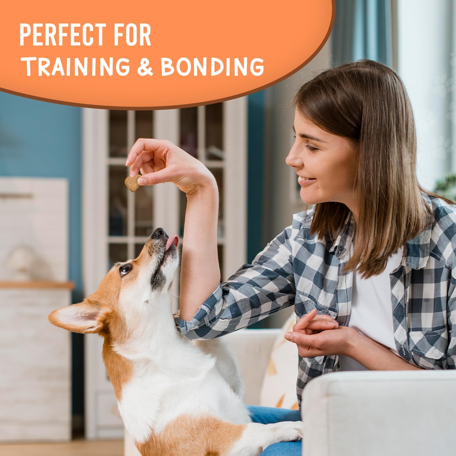 The Much-Loved Dog Premium Training Treats