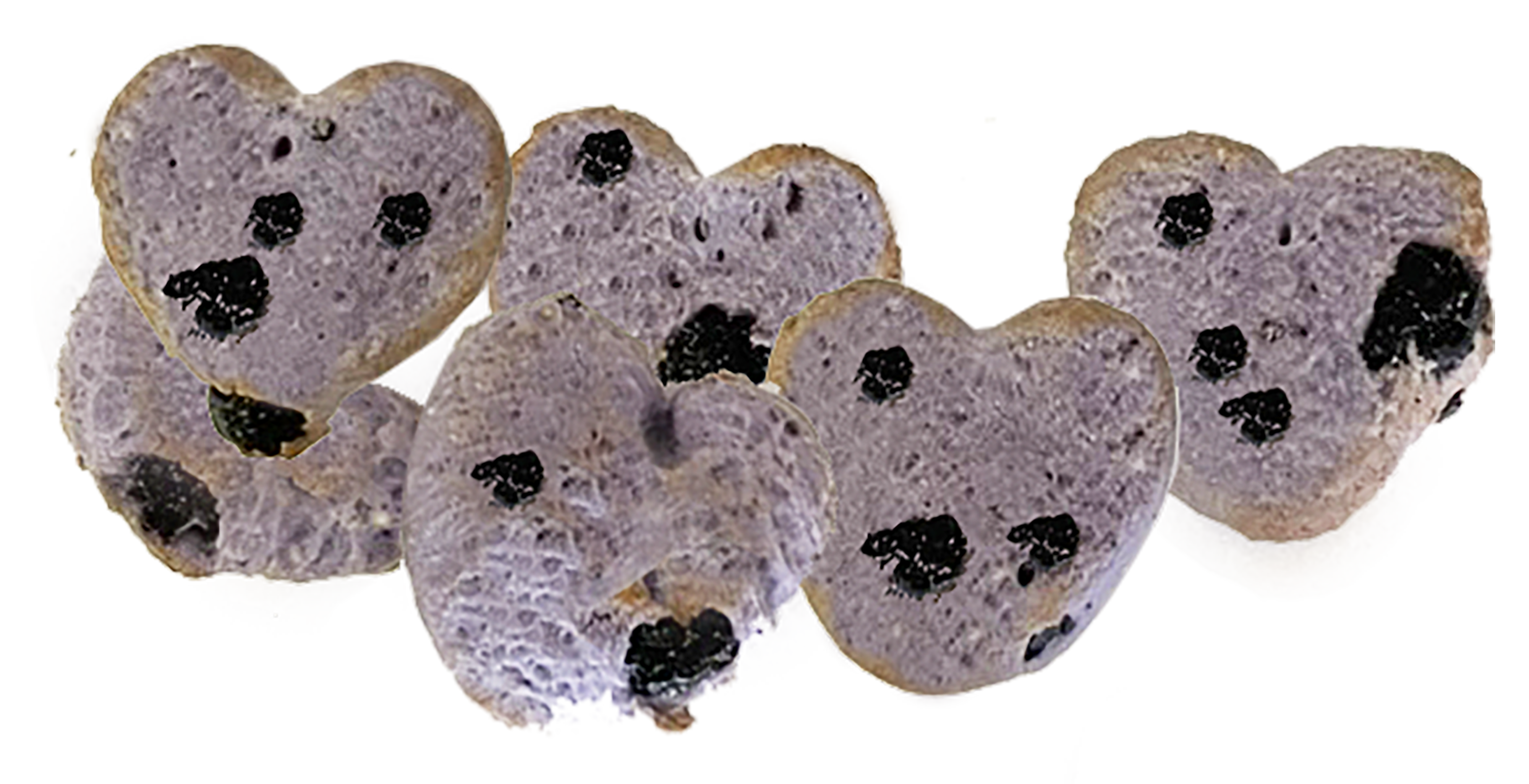 TheCADog™ Supreme Training Reward Treats - CA BLUEBERRY ANTIOXIDANT