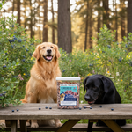 Much Loved Dog™ - Blueberry Burst, Set