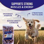 Much Loved Dog™ - Blueberry Burst, Set