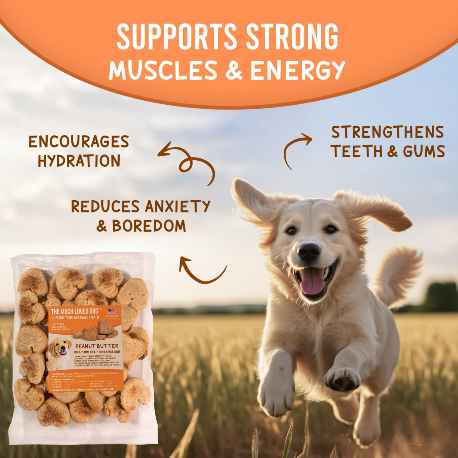 Much Loved Dog Training Reward Treats - Professional Bundle (6-Pack)